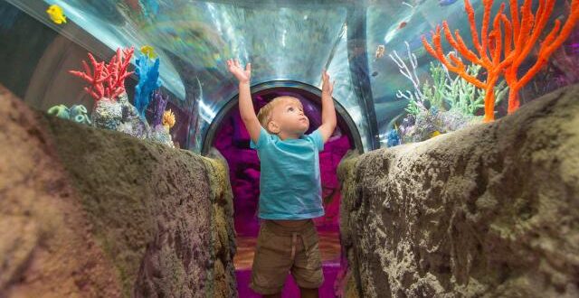 Things to Do in Orlando for Kids